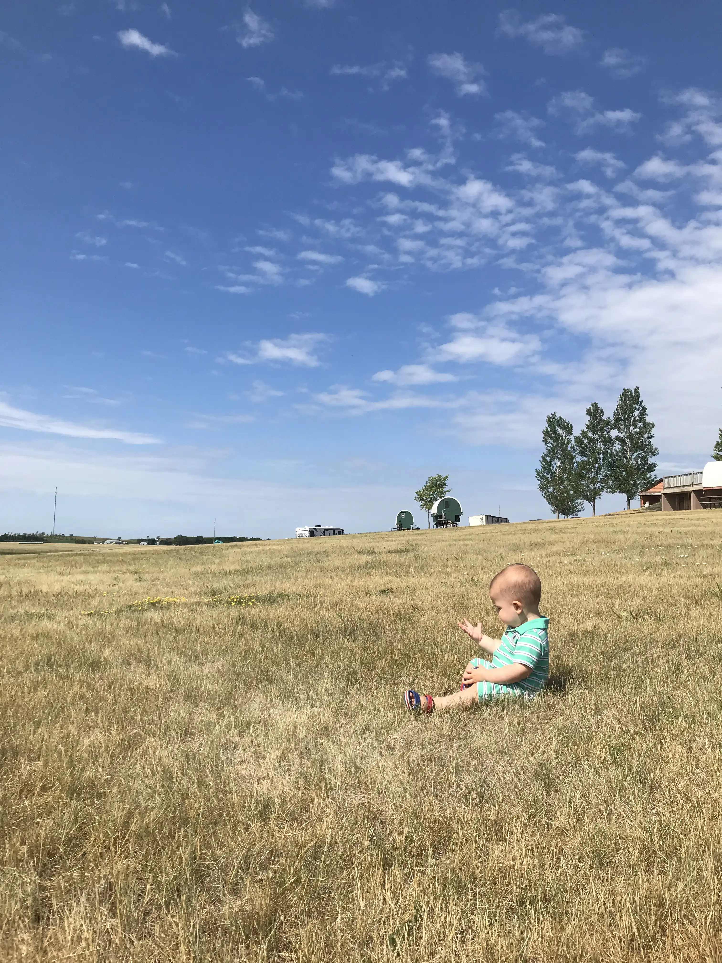 Royal sitting in the prairie grass on the Laura Ingalls Wilder De Smet homestead.
