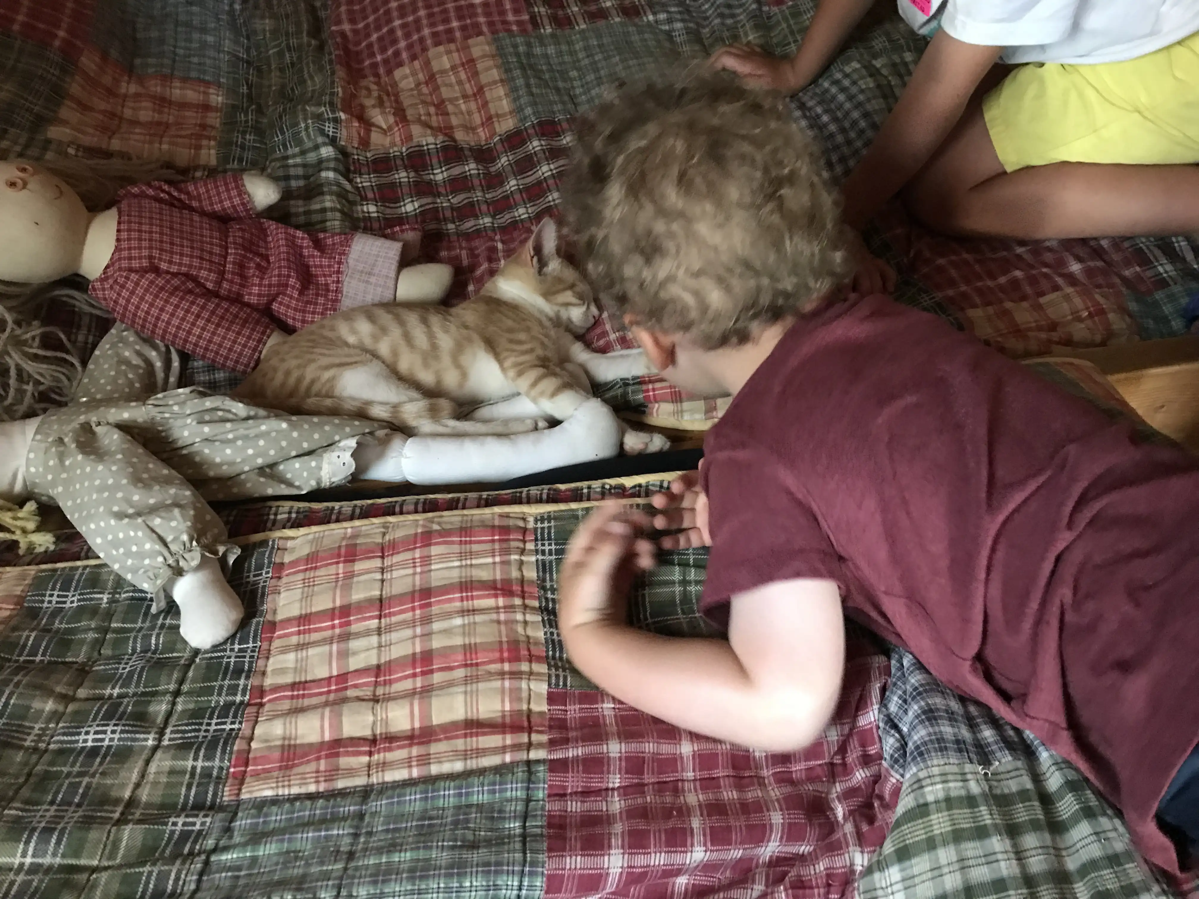 Graham plays with a cat on a quilt.