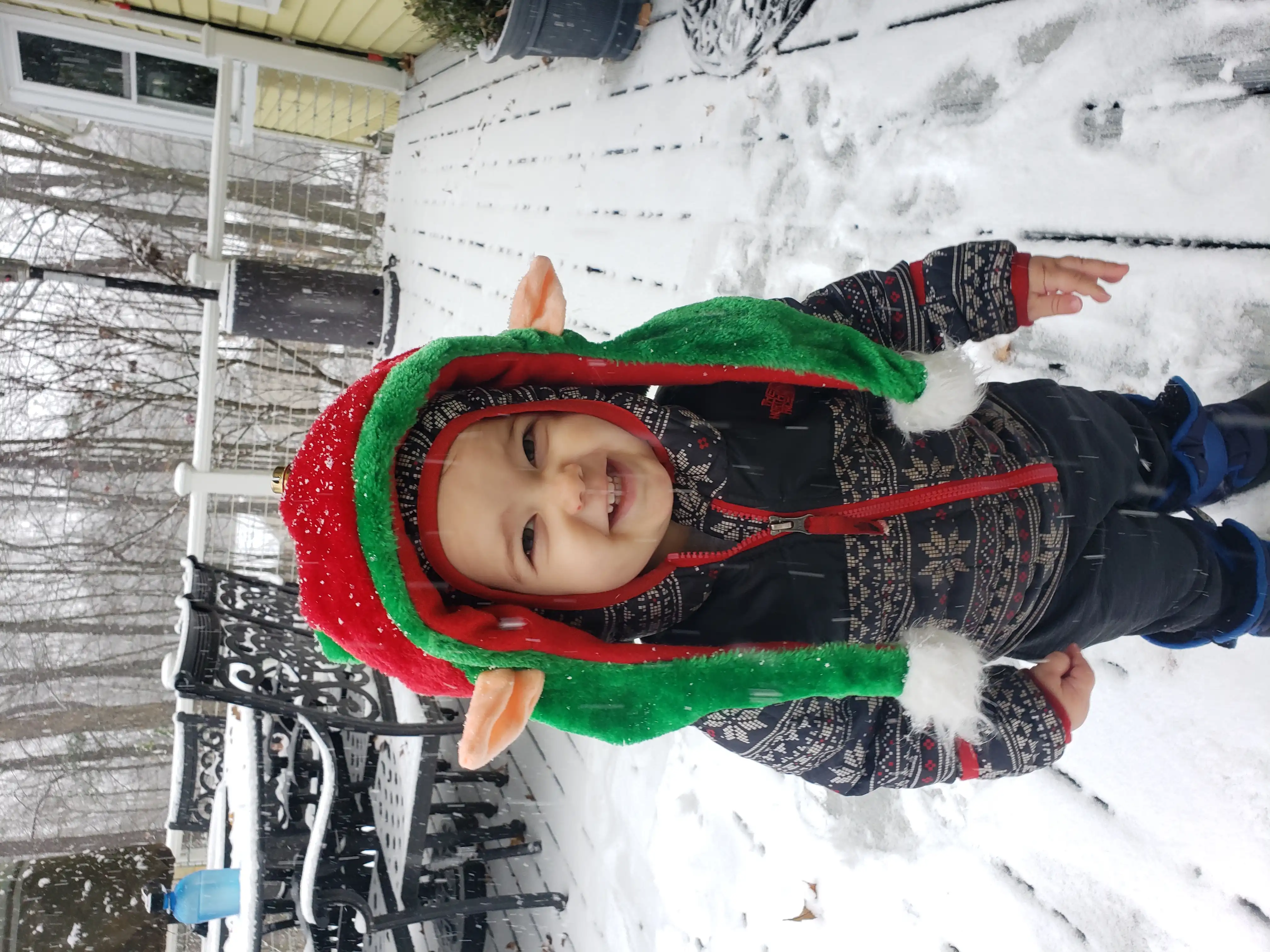 Royal on the deck while it's snowing, wearing an elf hat.