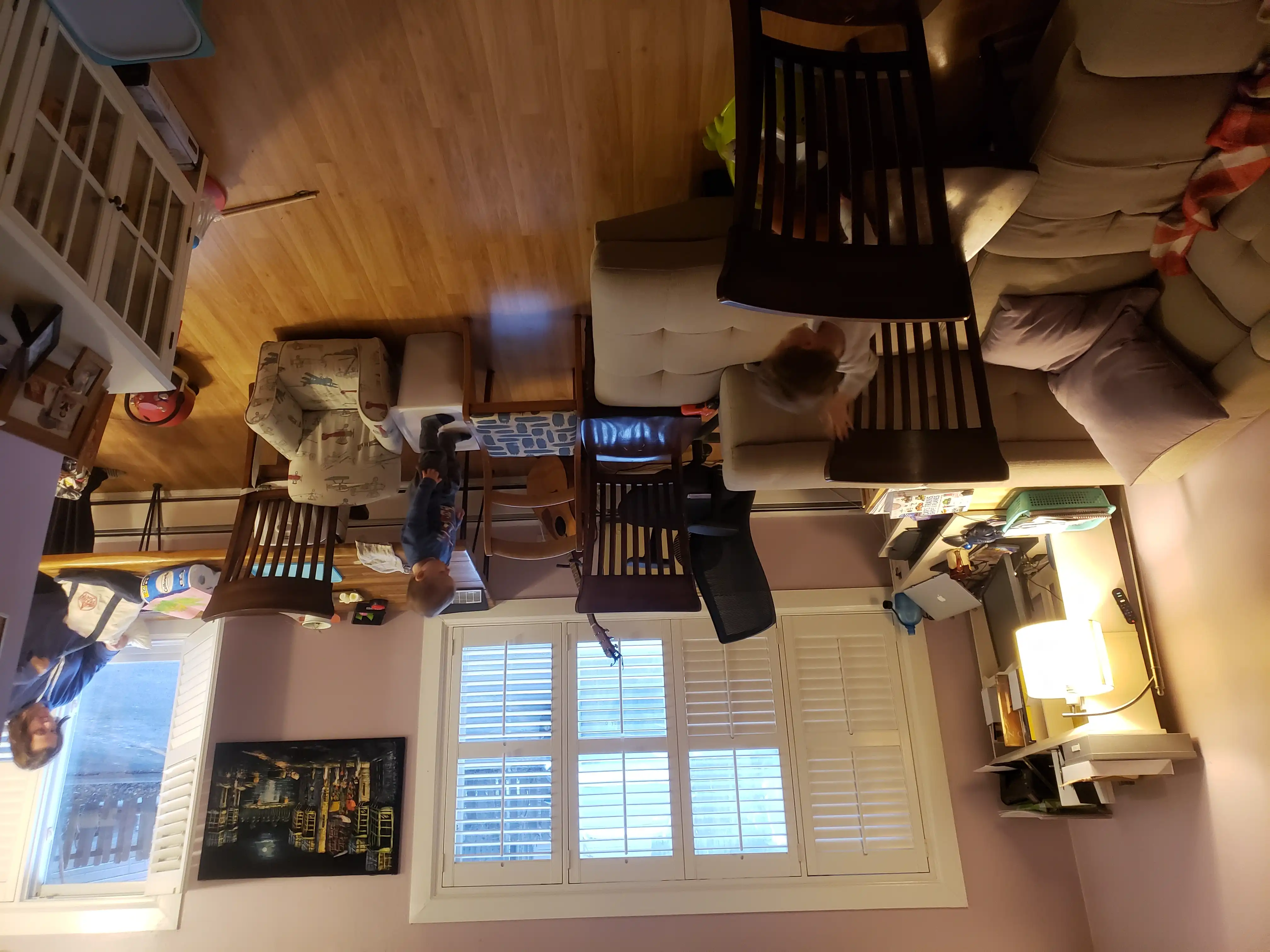 Graham and Royal running living room obstacle course of couches and chairs.