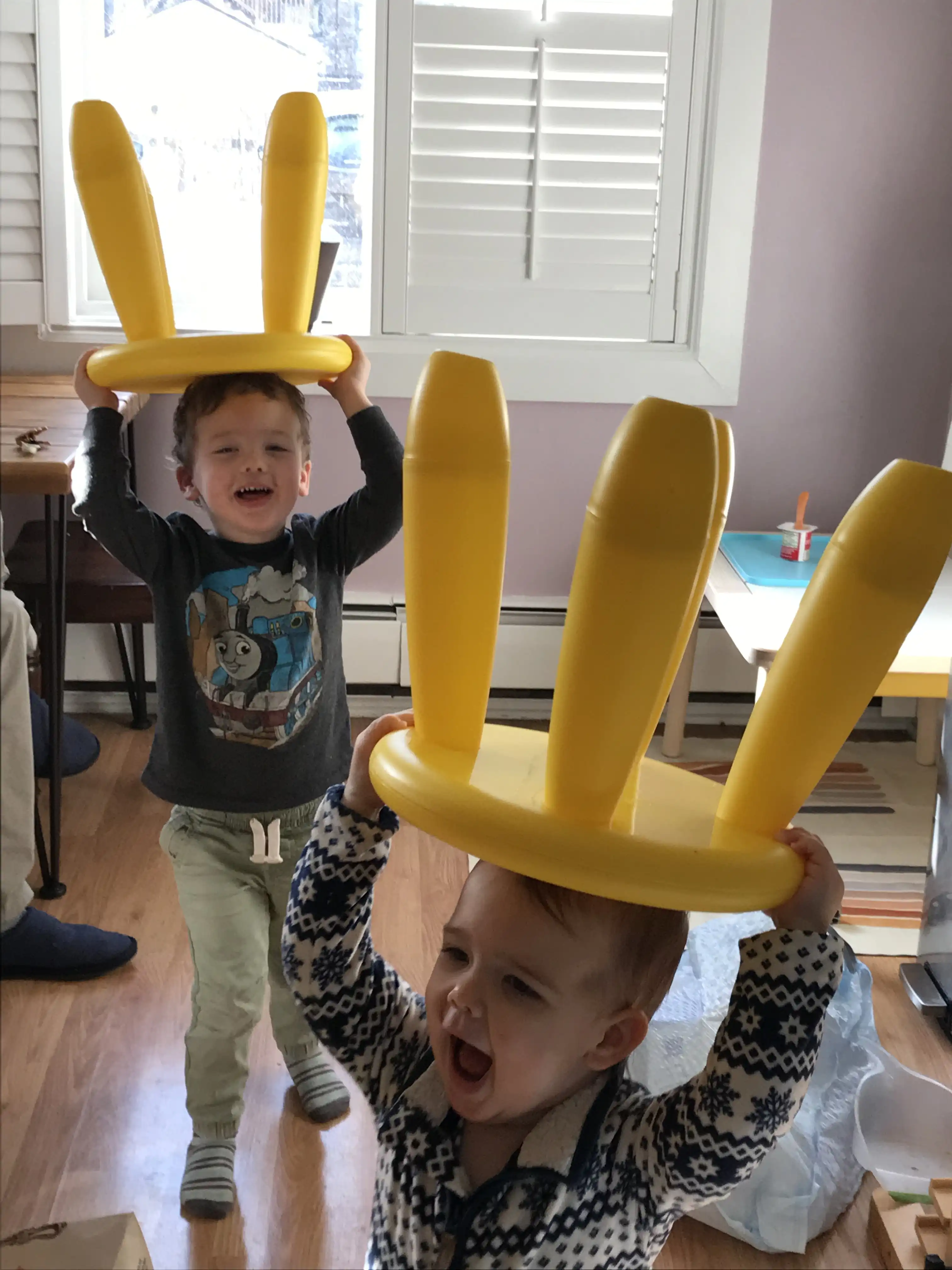 Graham and Royal with yellow stools on their heads.