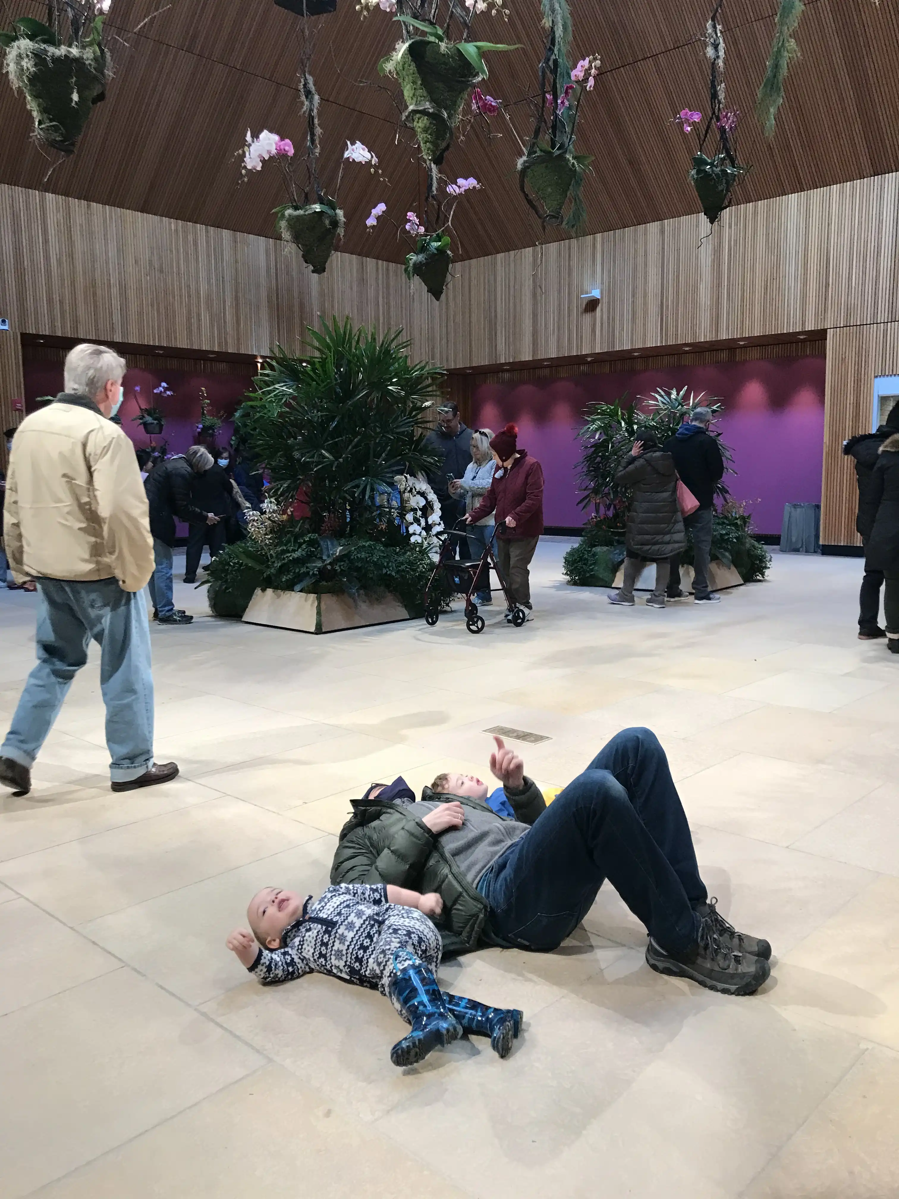 Alex, Graham and Royal laying on the floor of the Orchid exhibit at the Chicago Botanic Gardens, gazing at the ceiling.