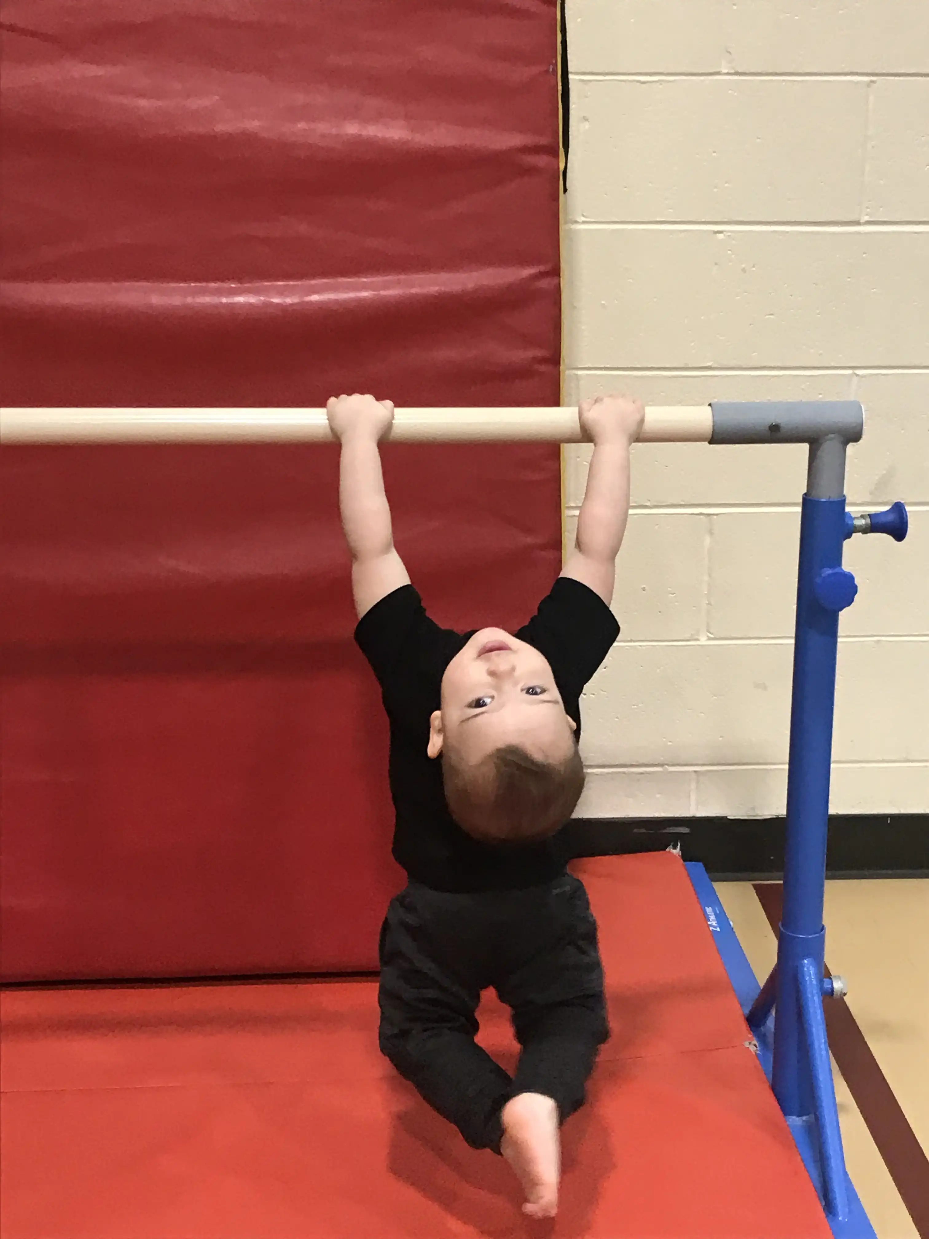Royal hanging from a pull-up bar.