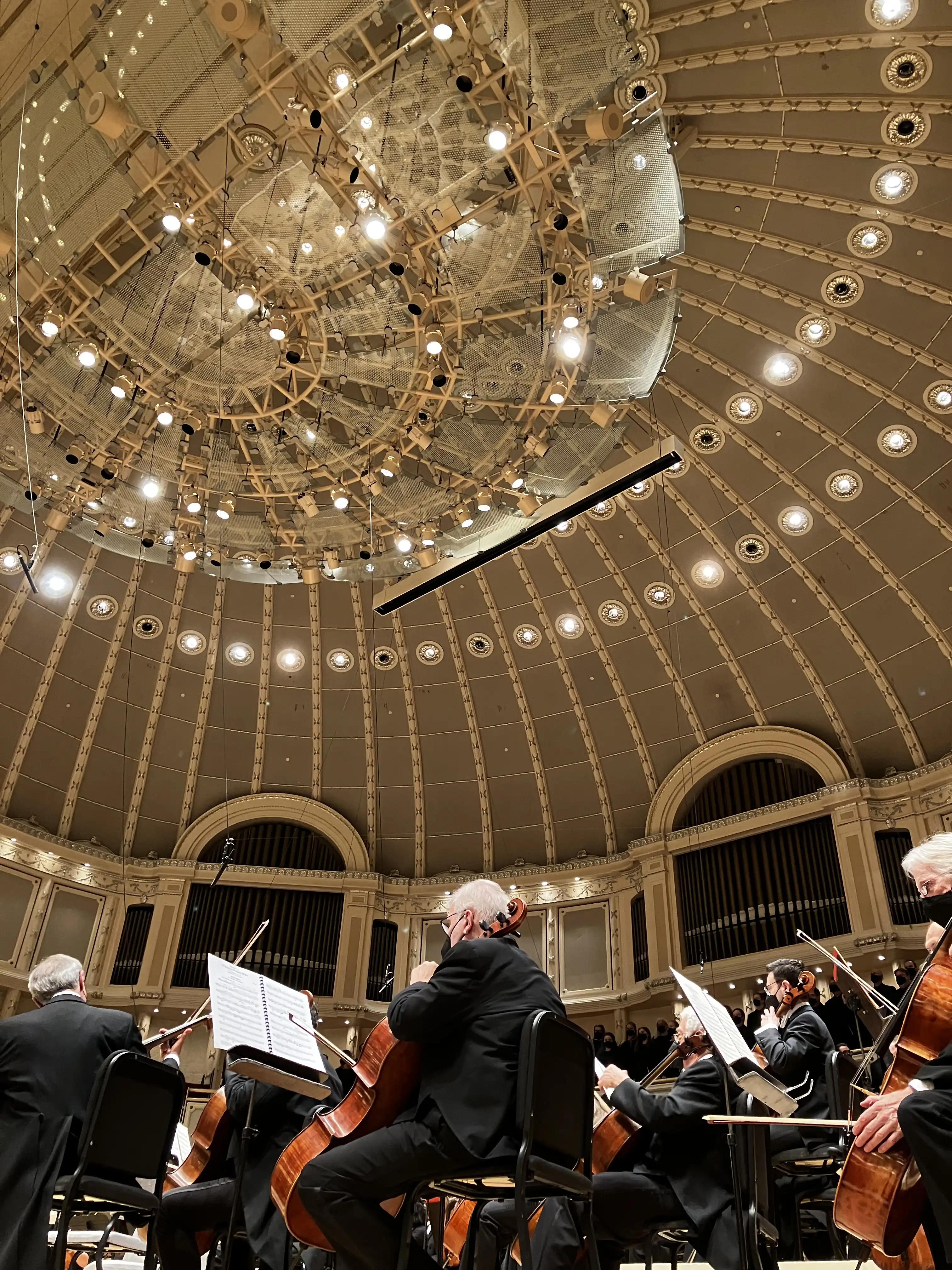 Cello section of the Chicago Symphony Orchestra.