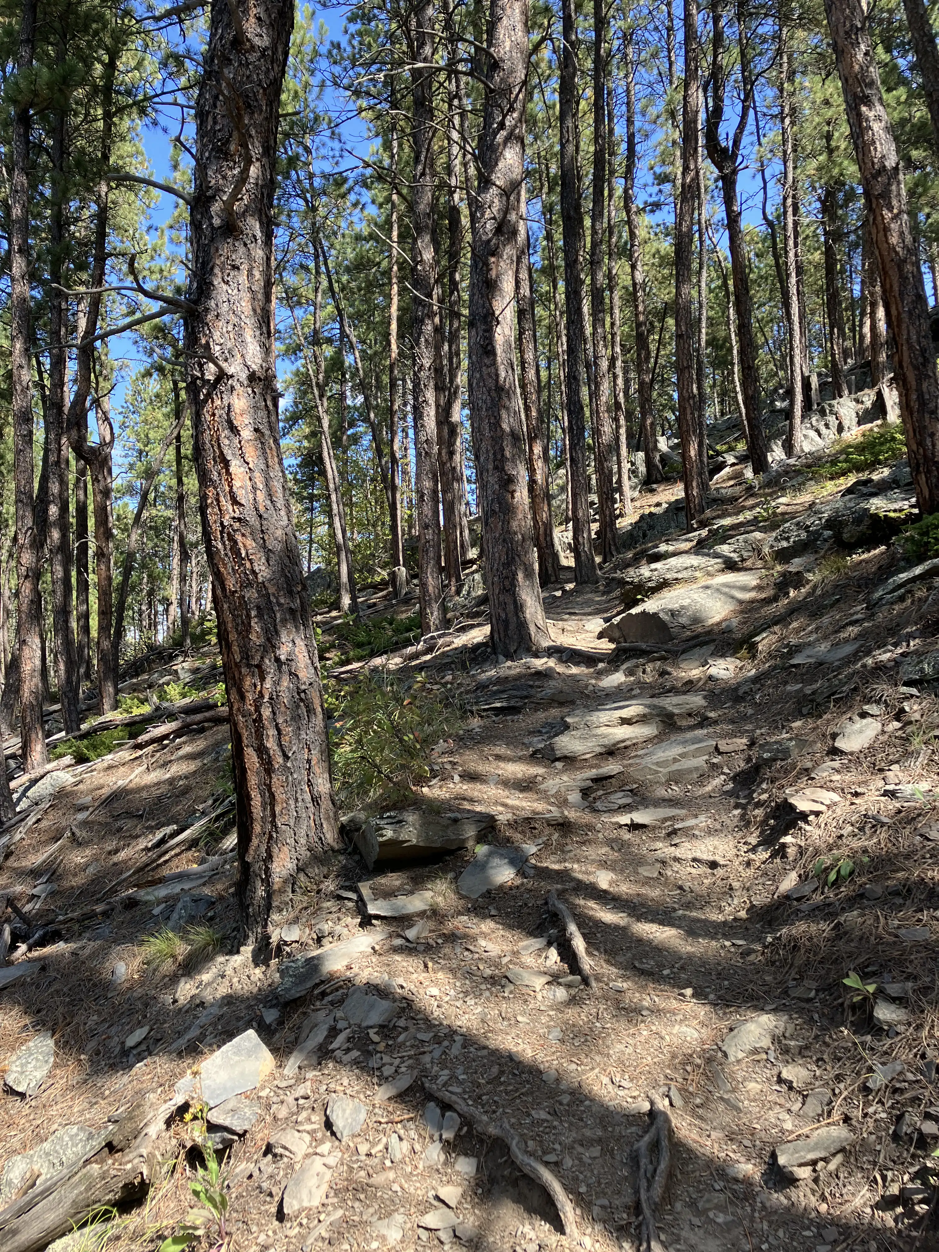 A rocky portion of the Flume Trail.