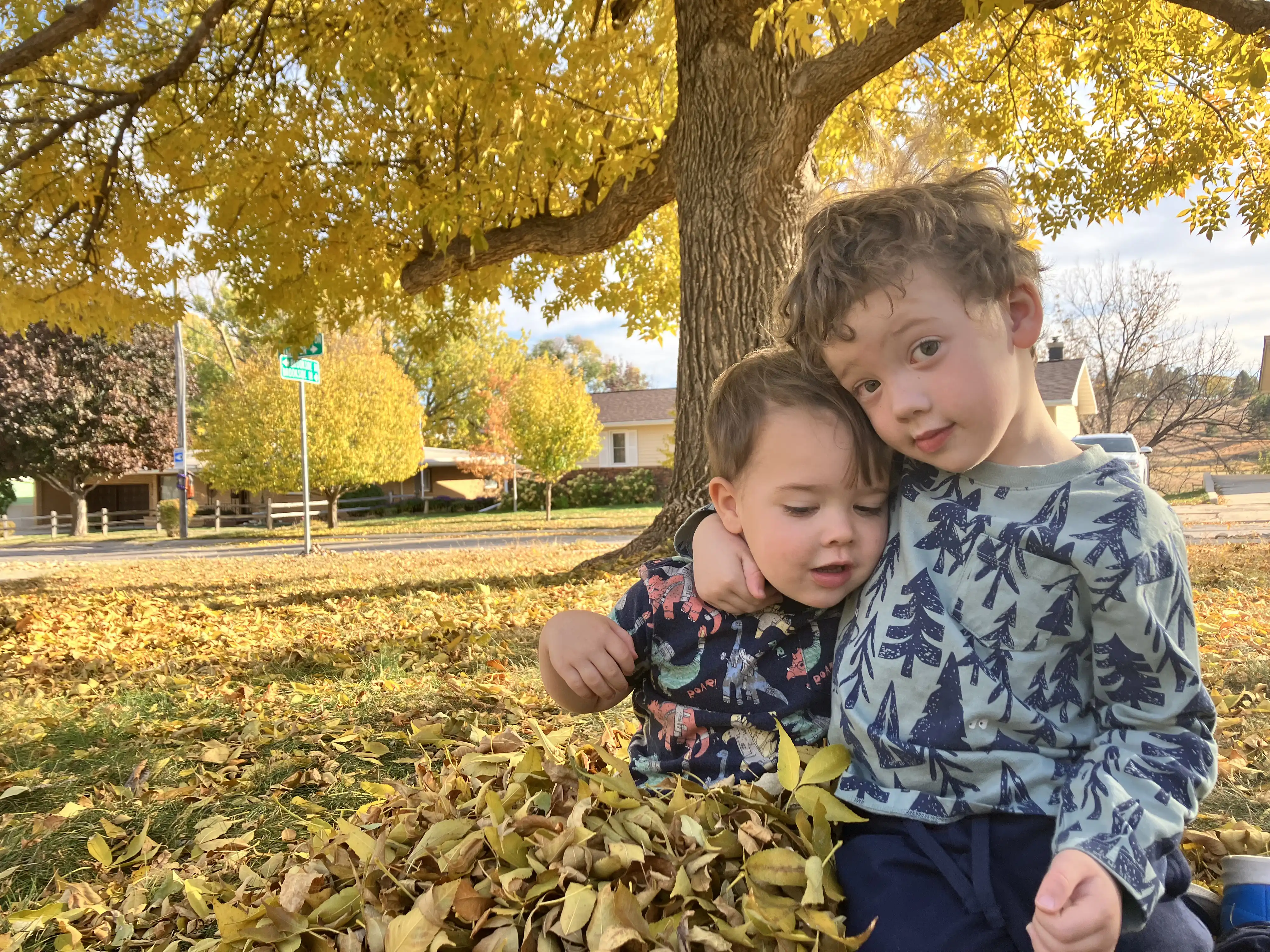 Graham and Royal in the fall leaves.