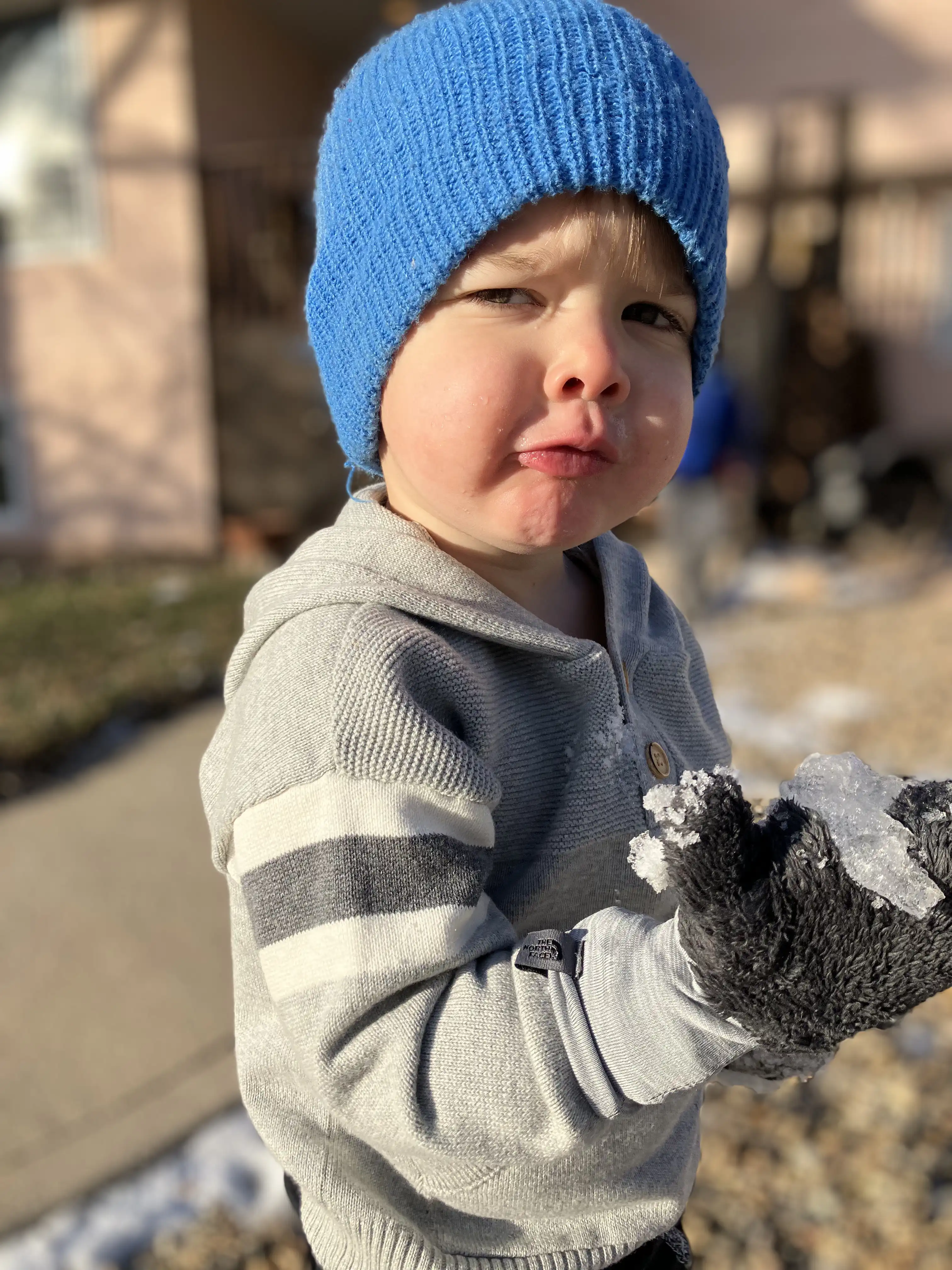 Royal in a blue beanie eating snow.
