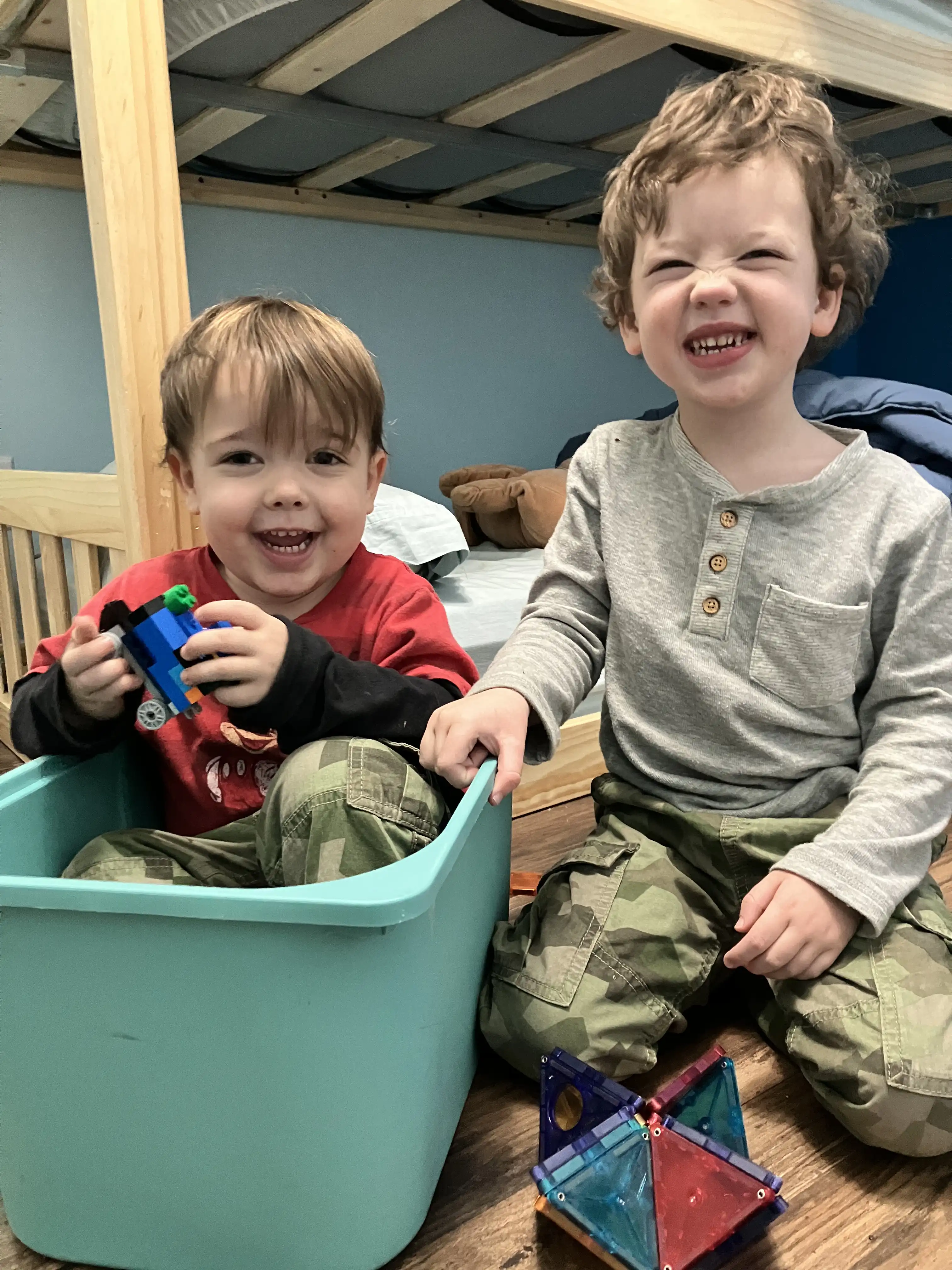 Graham and Royal together. Royal is in a toy bin.