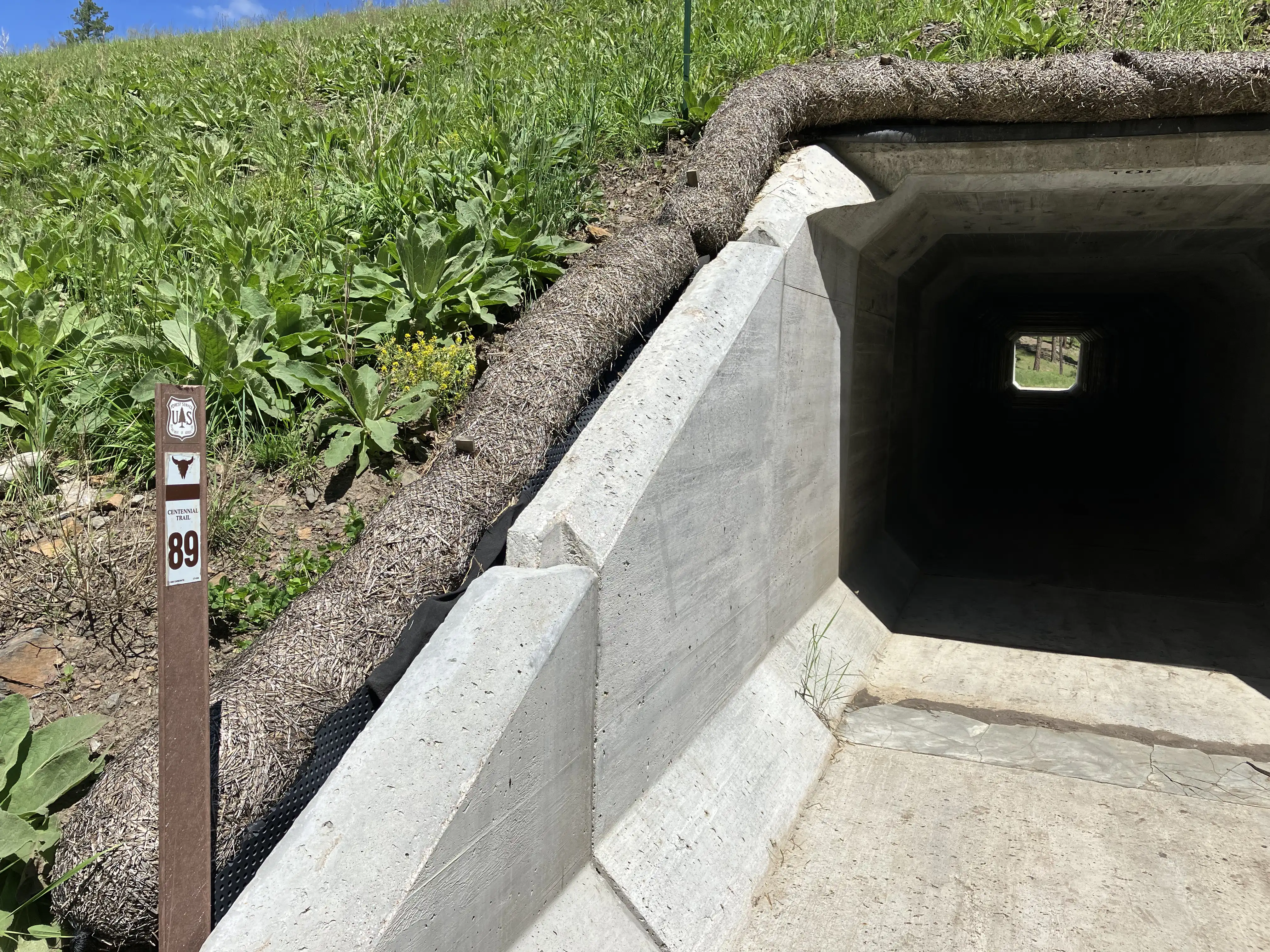 A concrete walking tunnel that runs under Sheridan Lake Rd
