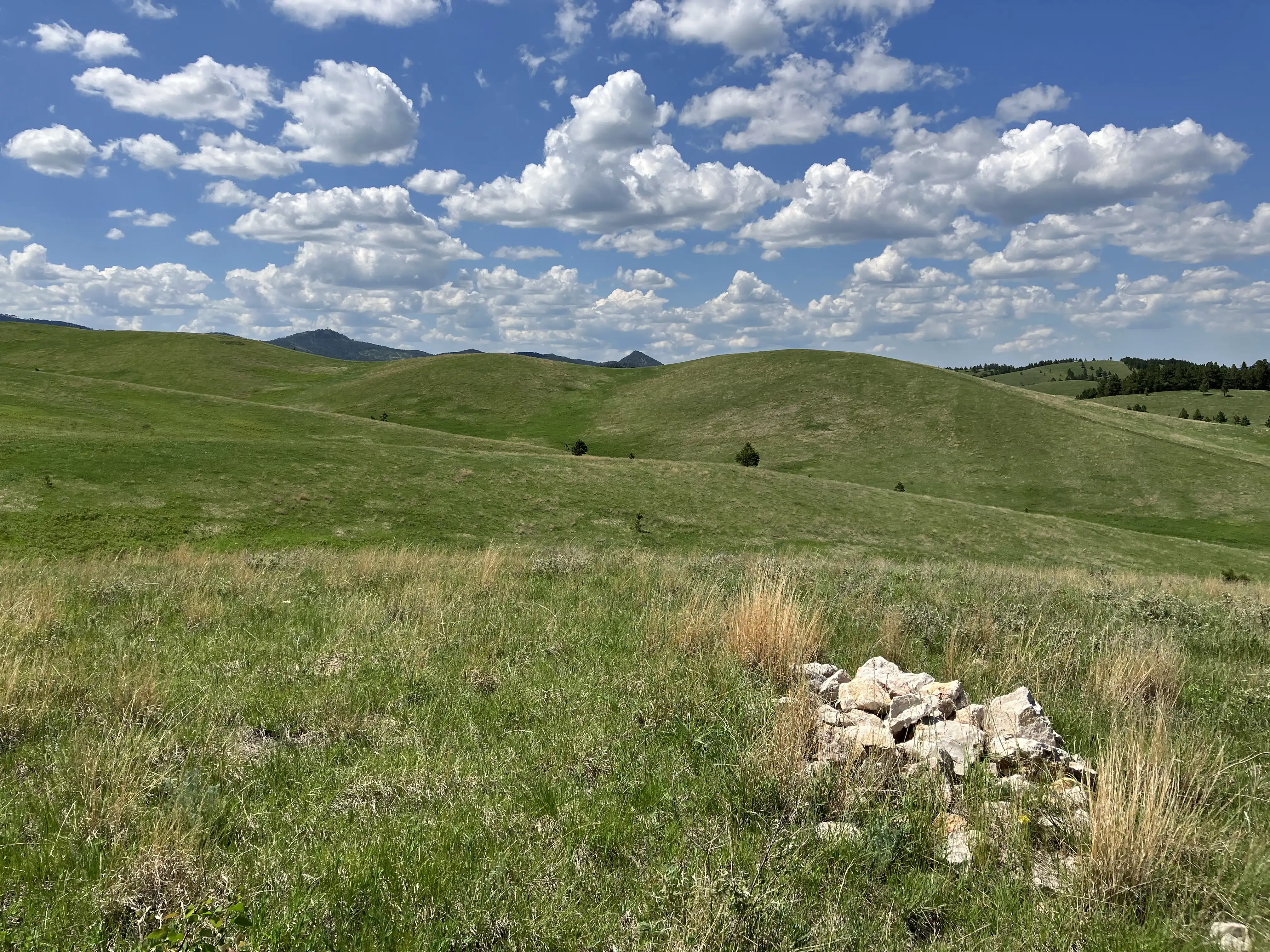 The Bald Hills