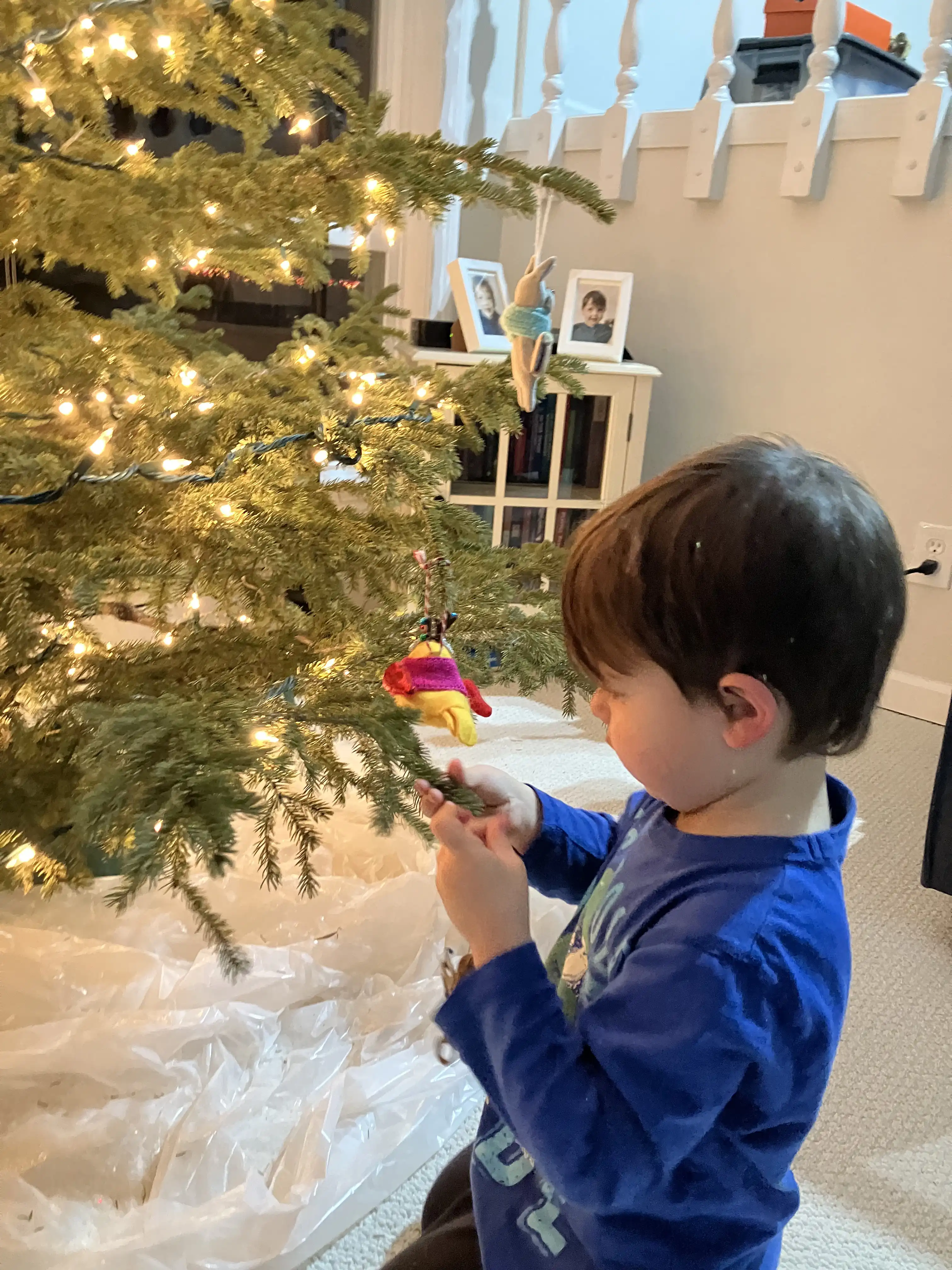 Royal feels the Christmas tree needles