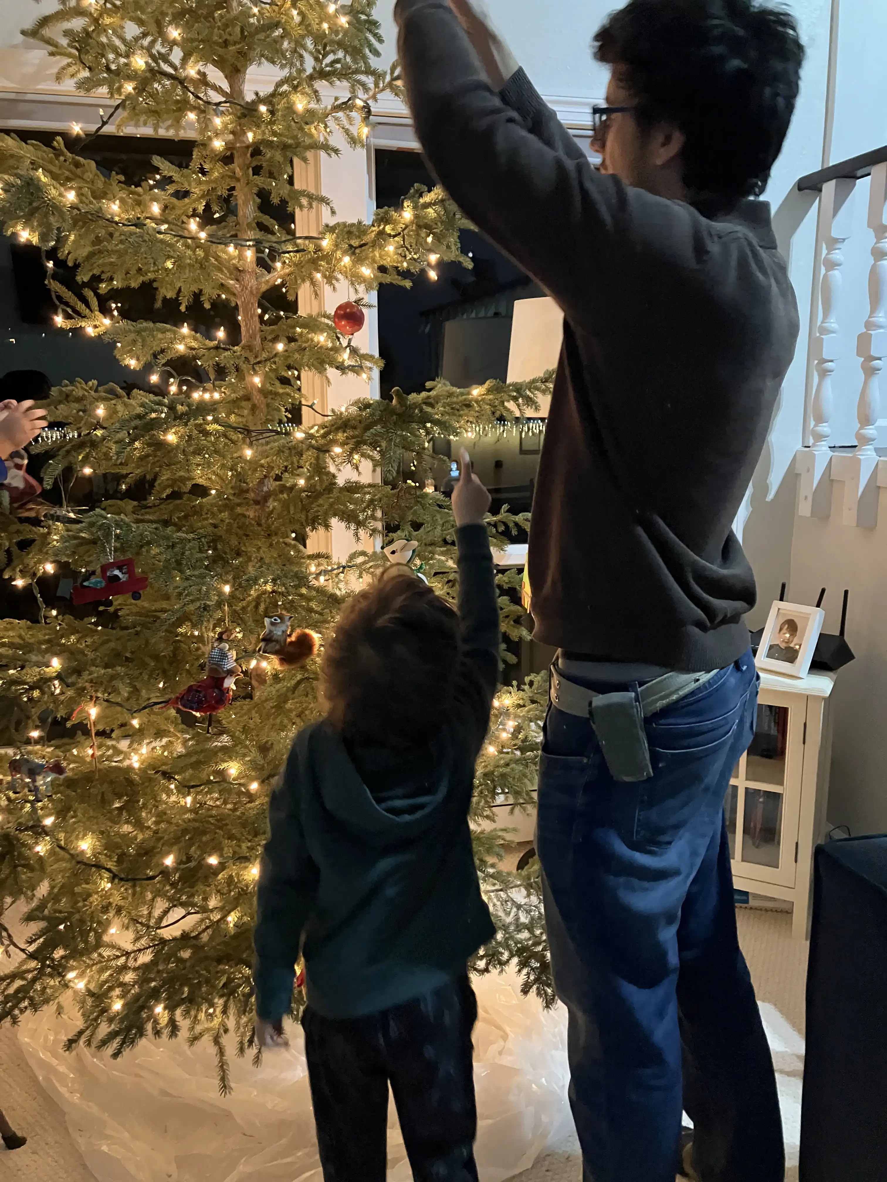 Graham pointing to a high branch where he wants Alex to put the next Christmas decoration