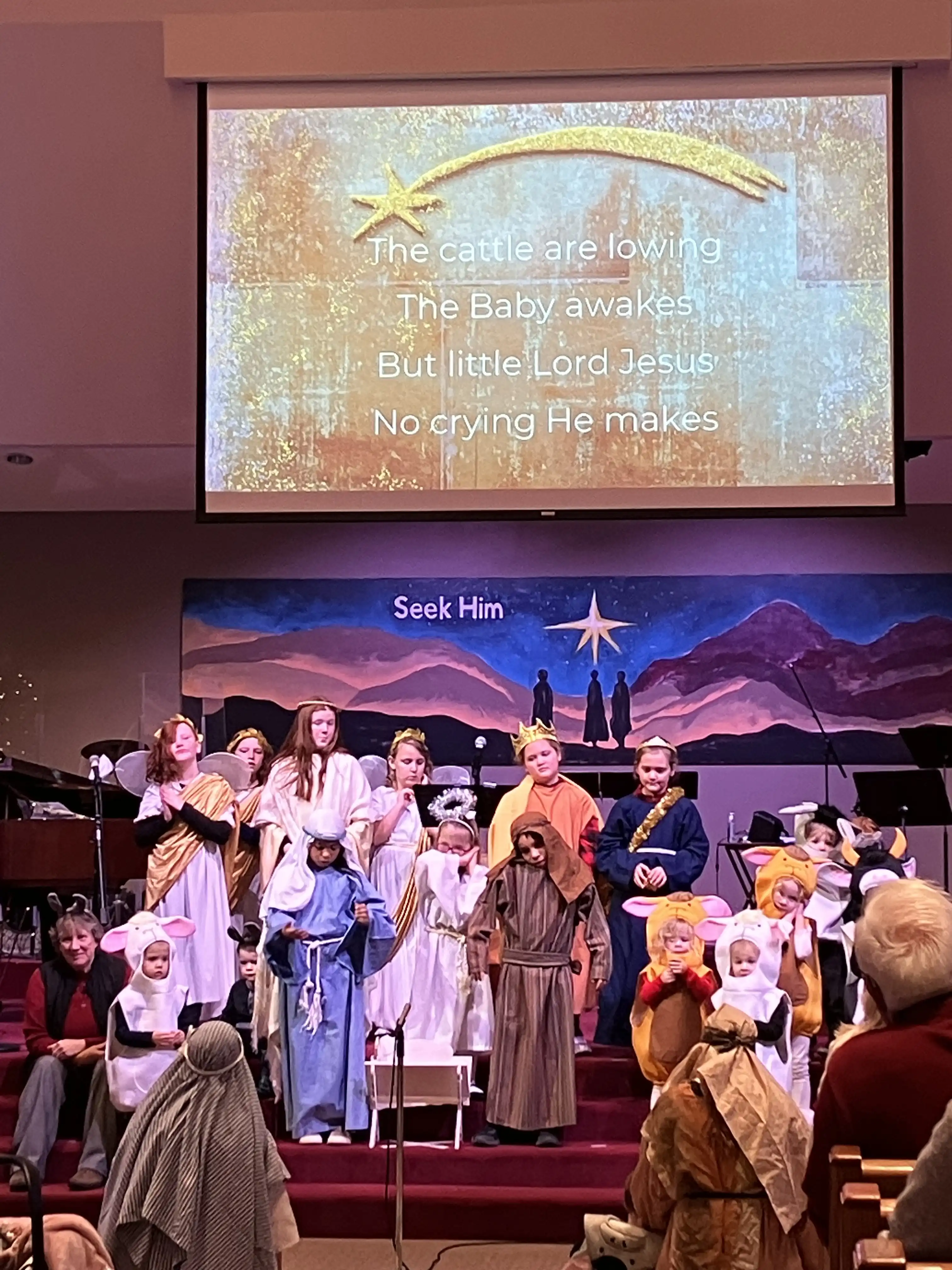 Many nativity characters on stage singing a Christmas carol. The boys are not featured