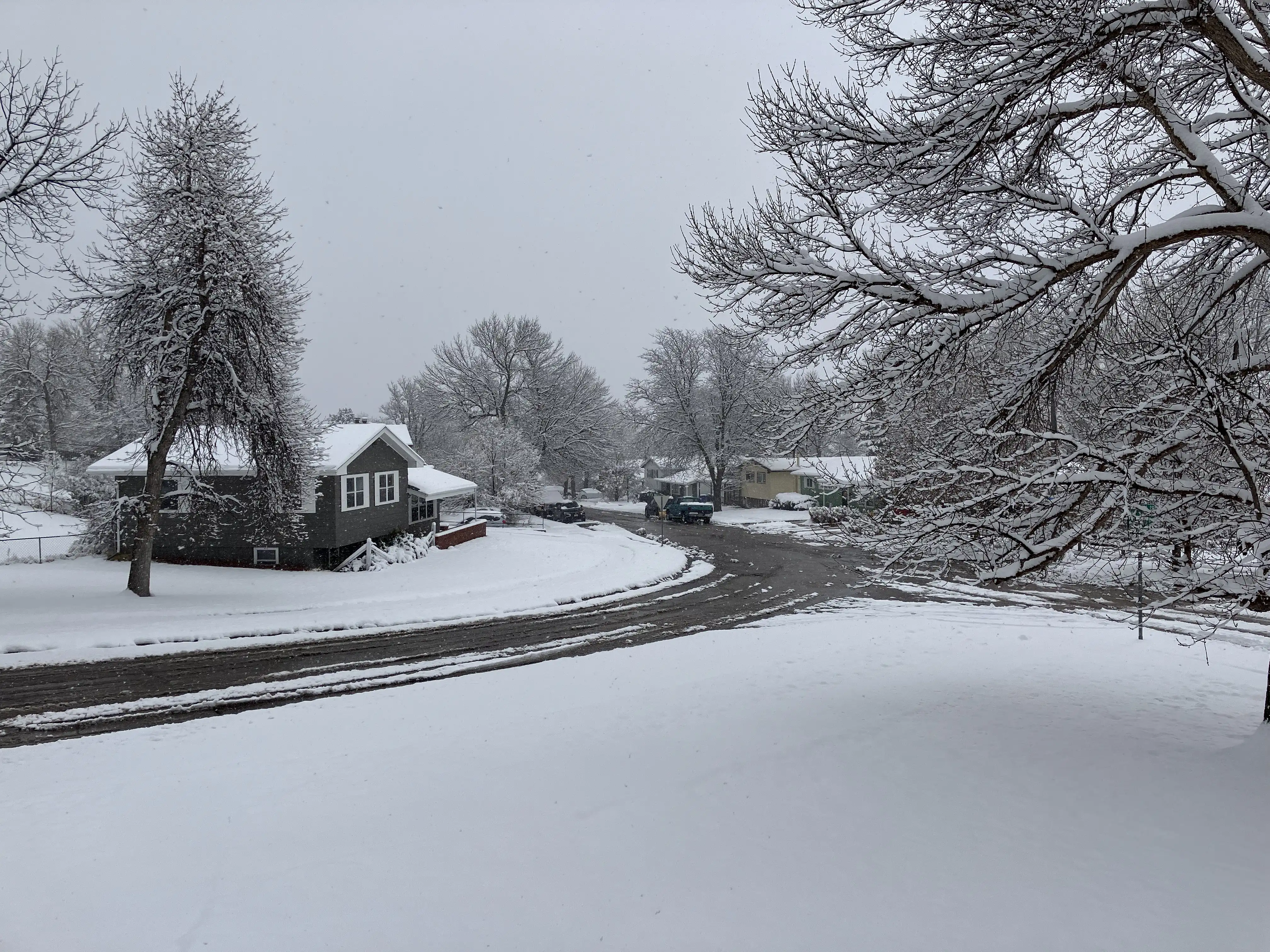 The view from our porch covered in three inches of fresh snowfall.