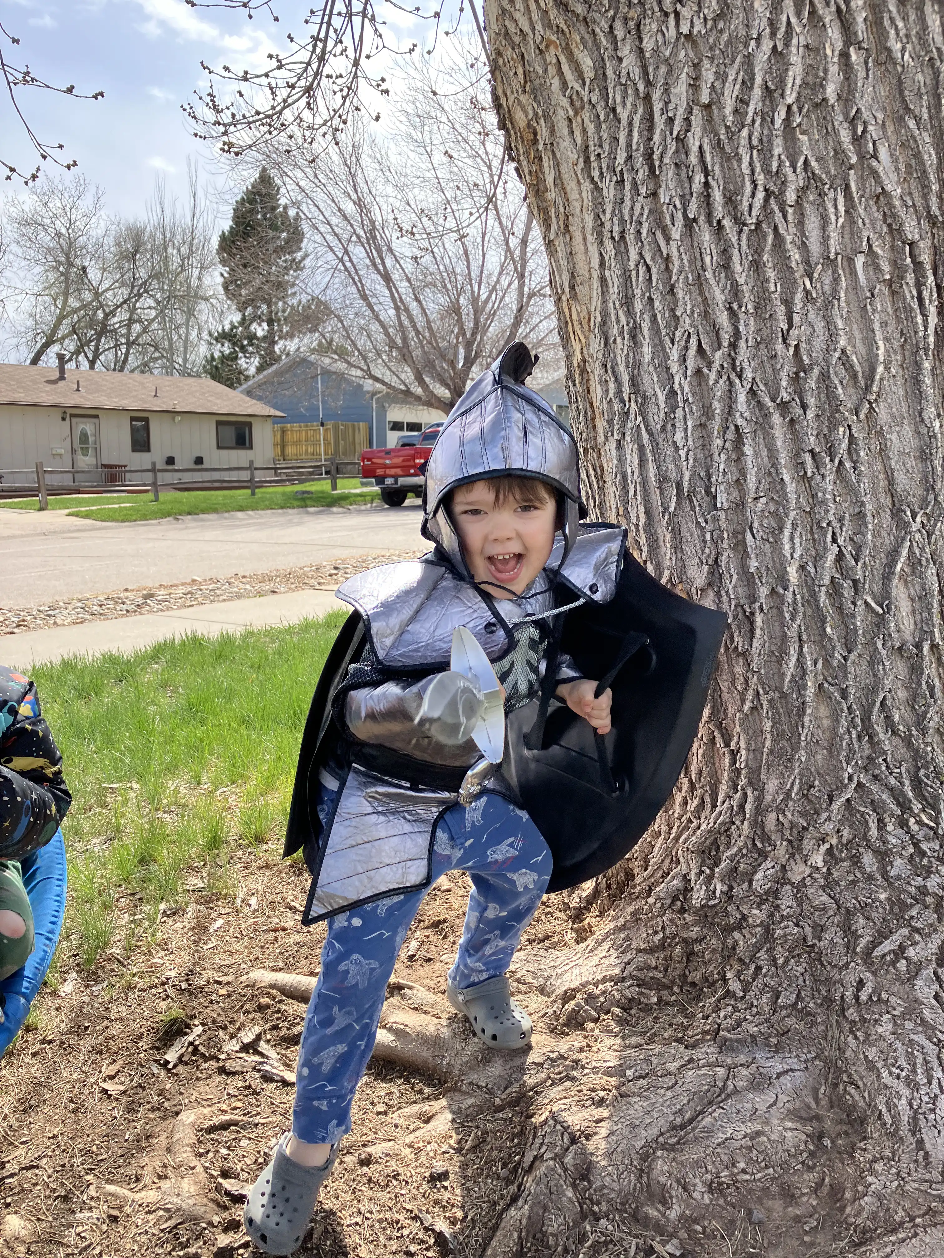 Royal as the bone knight stabbing at the photographer near our Ash tree.