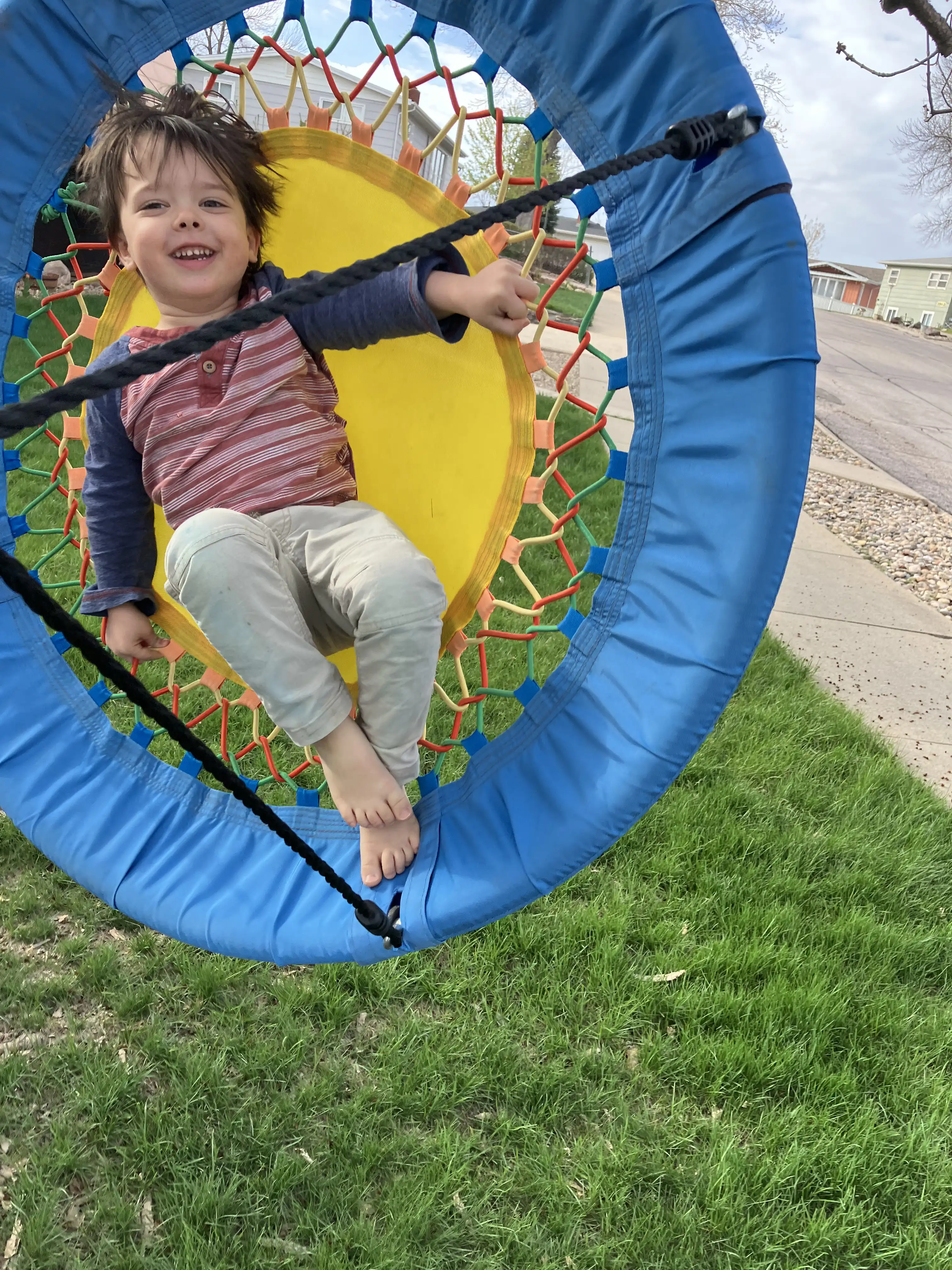 Royal on the tree swing at a 90 degree angle.