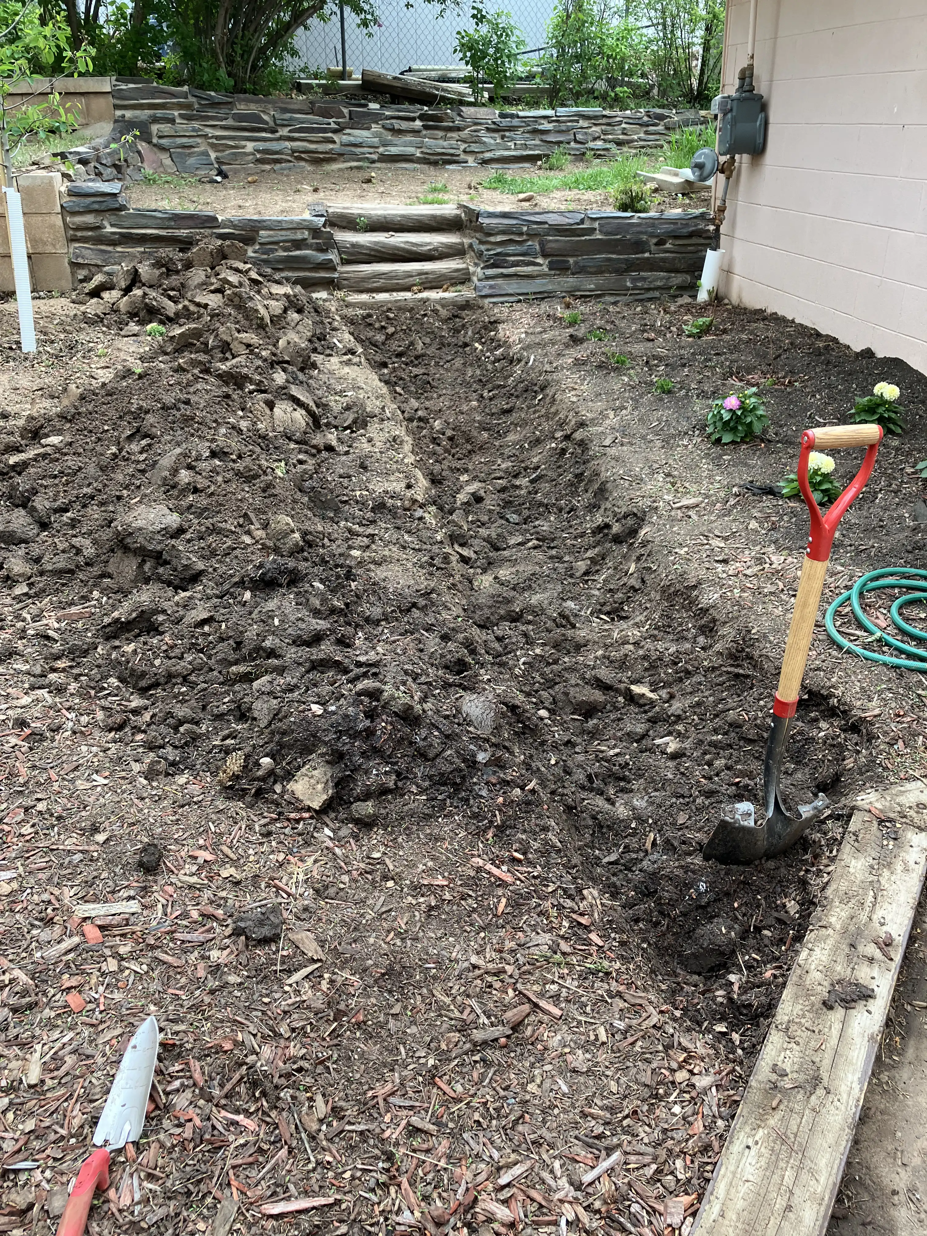 Backyard as the path is forming