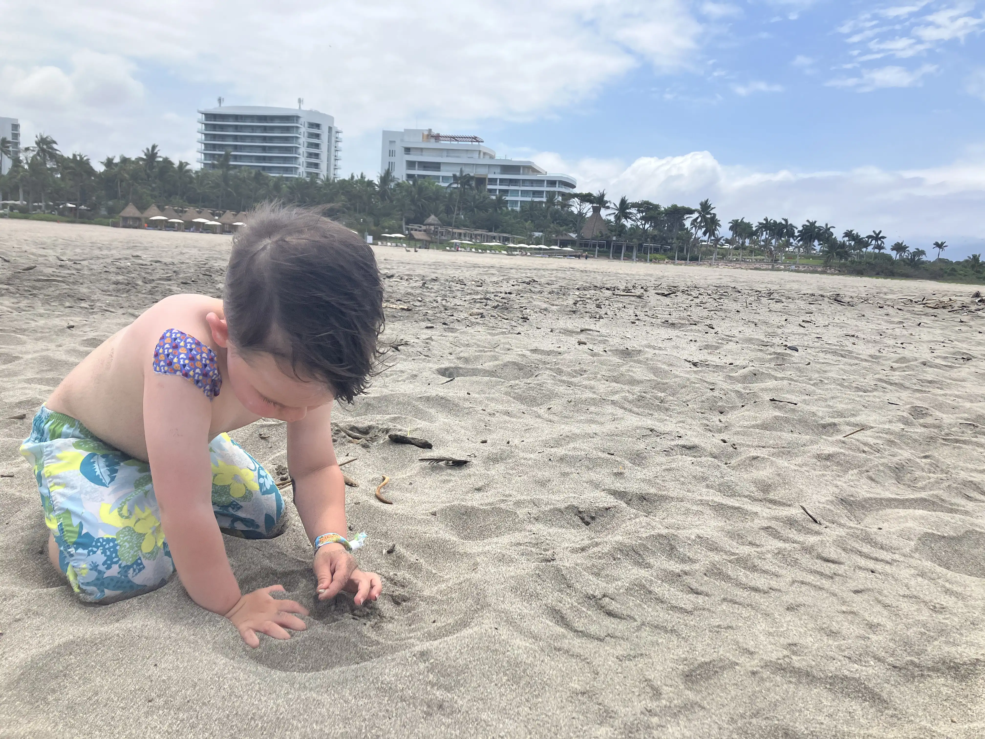 Royal searching for shells on the beach with the resort in the background.