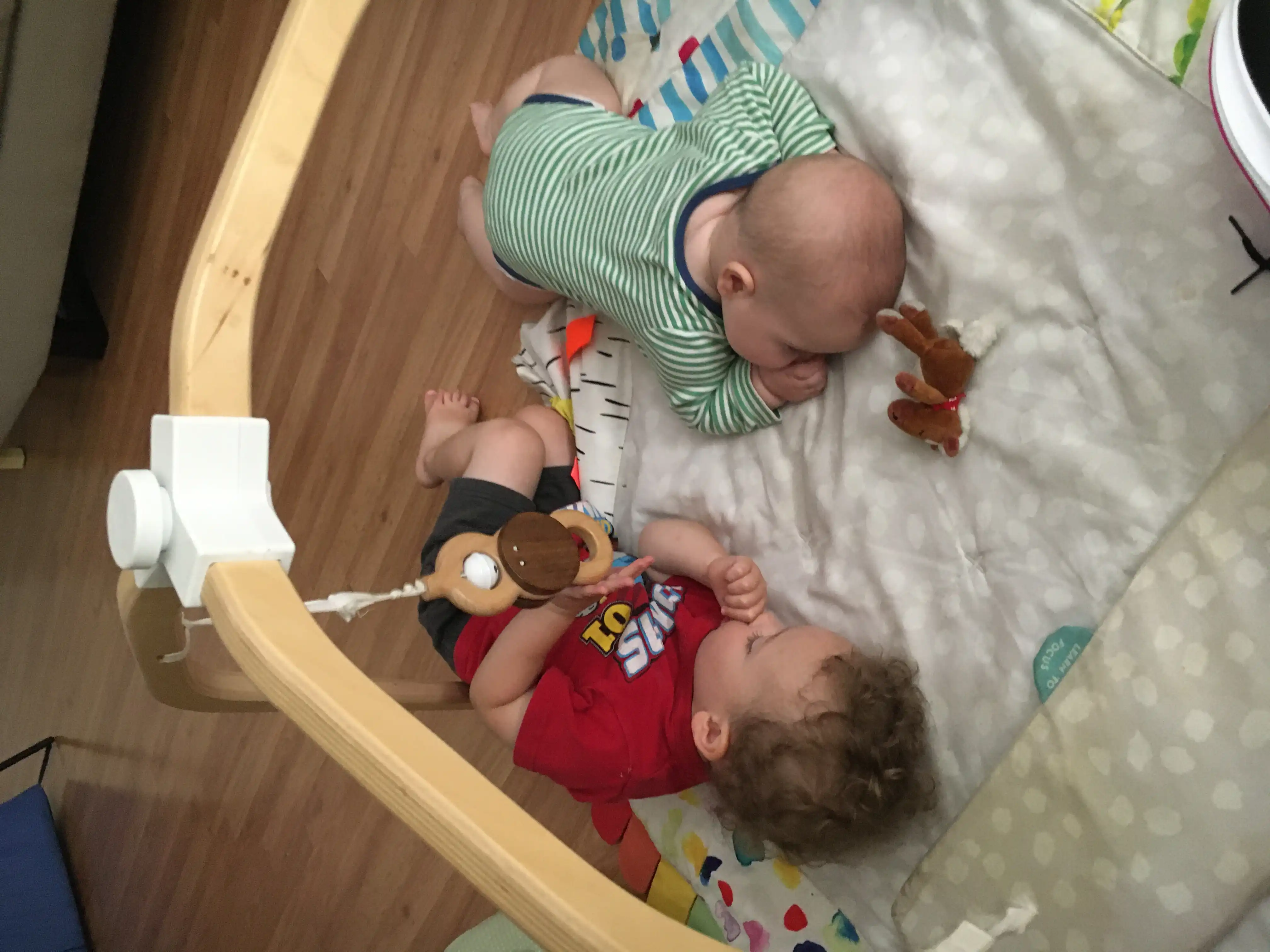 Graham and Royal on their playmat looking at one another.
